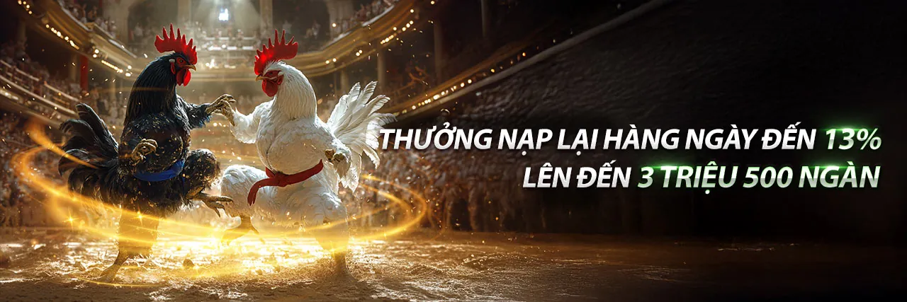 Đá gà trực tuyến kịch tính tại xx8
